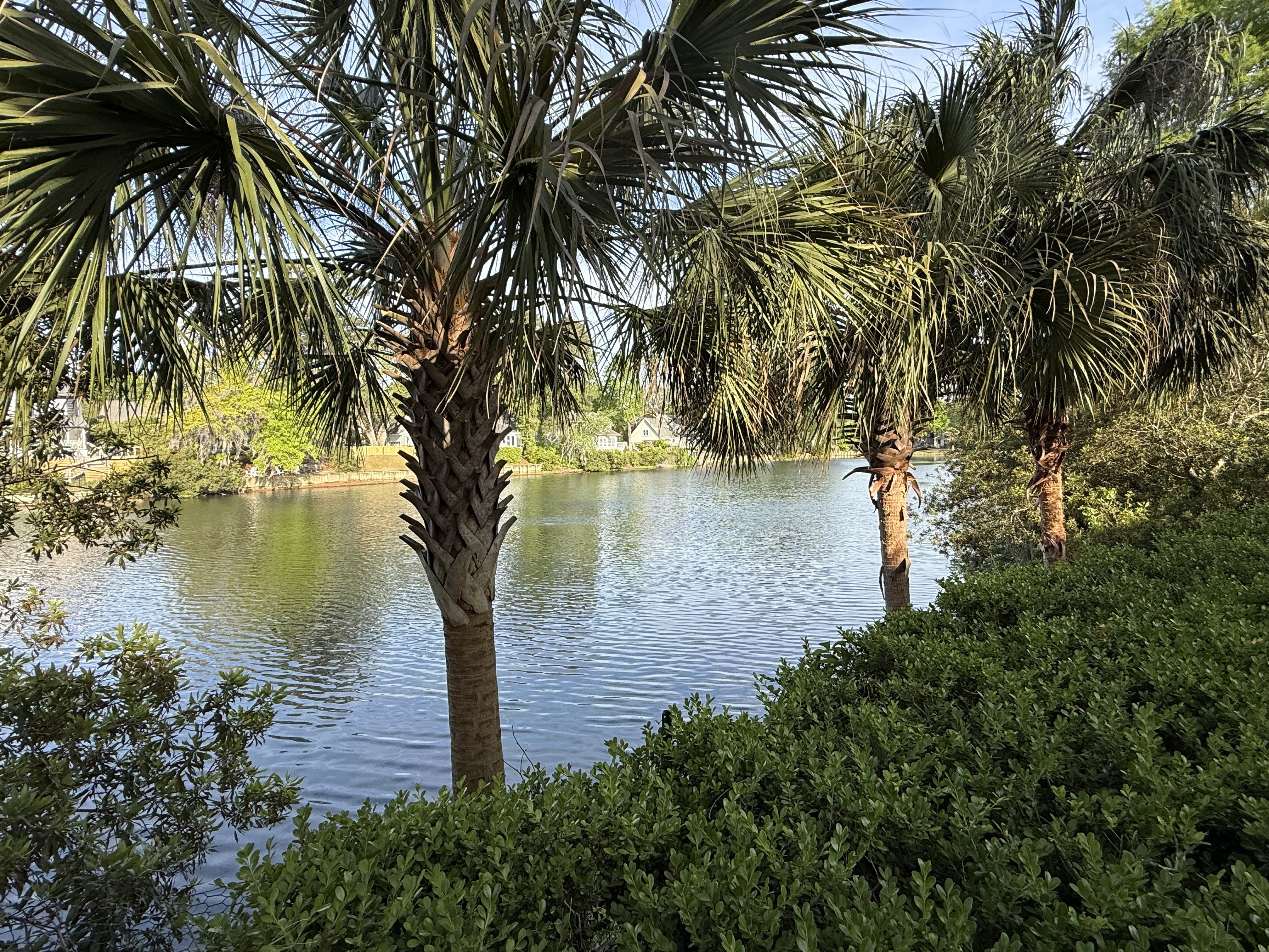 593 Marshgrass Blvd Lake View